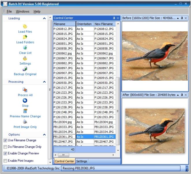 Automated Batch Imaging Editor for Webmasters good Screen Shot