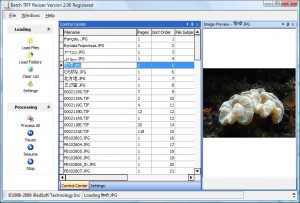 Batch TIFF Resizer Main Screen