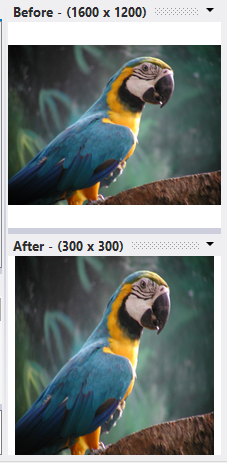When the ratio aspect option is not checked, the photos just takes the predetermined Width and Height